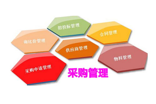 政府采購(gòu)網(wǎng)與相關(guān)崗位職責(zé)及工程造價(jià)咨詢(xún)業(yè)務(wù)概述